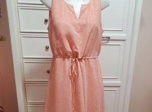 LC long sheer dress